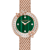 Montre Time Flies Sticker by chaumet