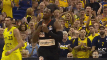 sport dunk GIF by easyCredit Basketball Bundesliga