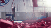 GIF by David