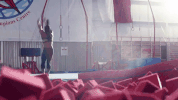 GIF by David