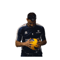 volleyball volley Sticker by EuroVolley2019Fr