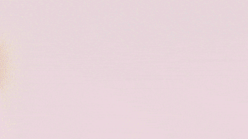 Football Sport GIF by FC Red Bull Salzburg