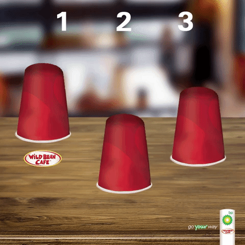 GIF by WILD BEAN CAFE