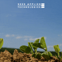 Ts GIF by Corteva Brasil