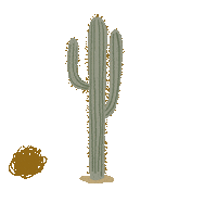 Desert Cactus Sticker by Fifth & Ninth