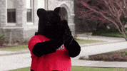 Well Done Reaction GIF by Haverford College