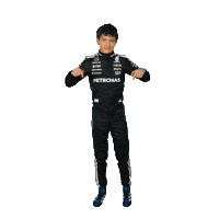 Formula One Sticker Sticker by Mercedes-AMG Petronas Formula One Team