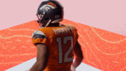 Denver Broncos Football GIF by Broncos