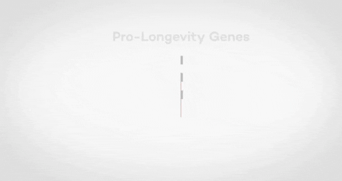 laikateam1 giphygifmaker GIF