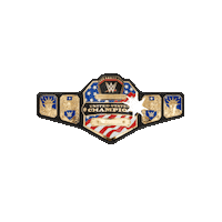 championship belt sport Sticker by WWE