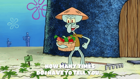 season 9 GIF by SpongeBob SquarePants