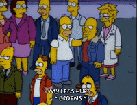 homer simpson GIF
