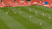 Spurs Tottenham GIF by MolaTV
