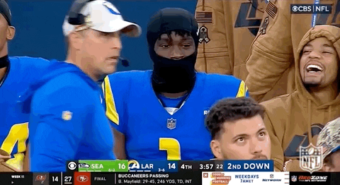 National Football League GIF by NFL