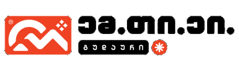 Georgia Mta Sticker by MtaSki