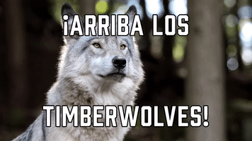 Β‘Arriba los Timberwolves!