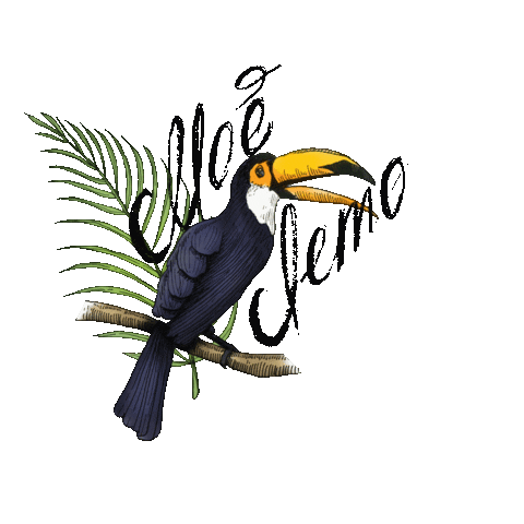Joies_store giphyupload summer лето toucan Sticker