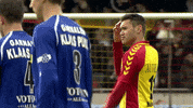 gaeagles rust GIF