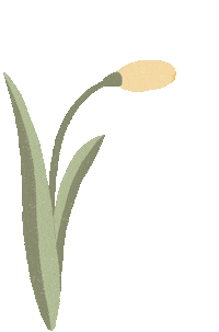 Illustration Flower Sticker