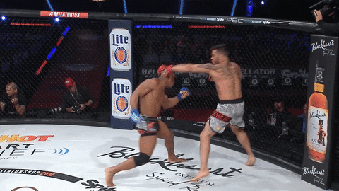 mixed martial arts fight GIF by Bellator