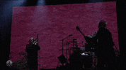 live performance snl GIF by Saturday Night Live