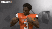Cnfb GIF by Carson-Newman Athletics