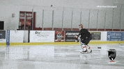 Hockey Cats GIF by Florida Panthers