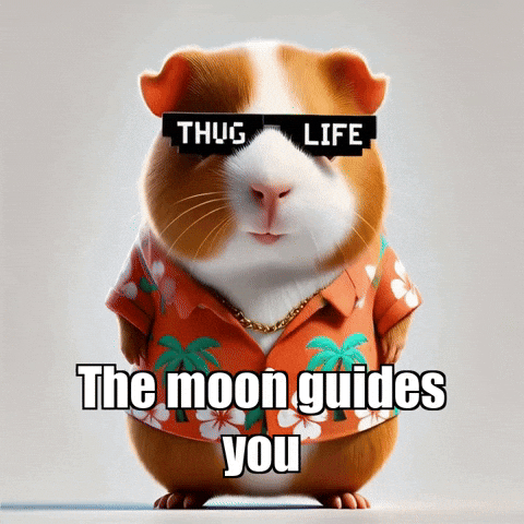 GIF by Guinea Gambino