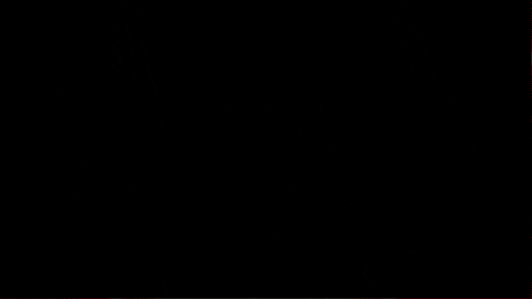 Ohio State Osu GIF by Logan Services