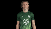 Fail Oh No GIF by VfL Wolfsburg