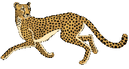 Spiritedartwork animals wild africa wildlife Sticker