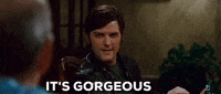 it's gorgeous step brothers GIF