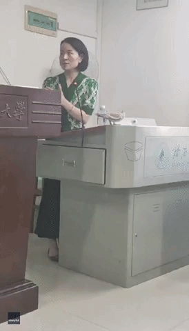 Bird Sits In on Philosophy Lecture at Guangxi University