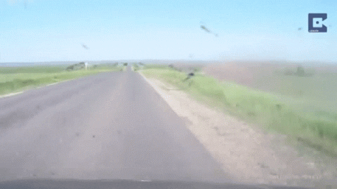 dash cam GIF