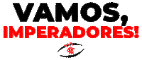 Futebol Americano Sticker by Flamengo Imperadores