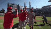 Major League Baseball Win GIF by MLB