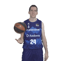 Liga Endesa Sport Sticker by ACB