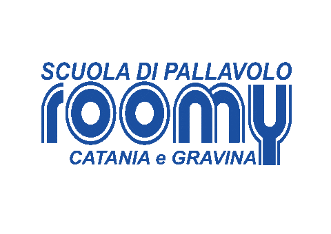 Pallavolo_Roomy giphyupload sport volleyball volley Sticker