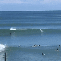 Ocean Life Beach GIF by Respective
