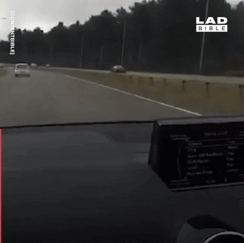 yj_jane giphygifmaker GIF