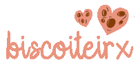 igorsaringer cookie igor biscoito bolacha Sticker