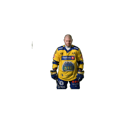 Jubel Sticker by Storhamar Hockey