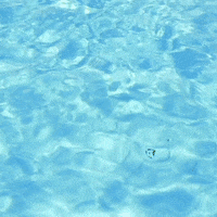 gruppo_yuma summer yuma GIF