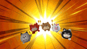 Angry Cat GIF by HangryPetz