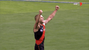 sport fans GIF by Essendon FC