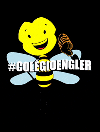 colegioengler bee abelha bauru abelhinha GIF