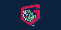 gwinnett win GIF