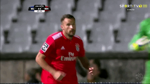 sl benfica slbgifs GIF by Sport Lisboa e Benfica