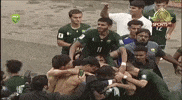 Harun Hamid GIF
