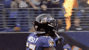 Happy National Football League GIF by Baltimore Ravens